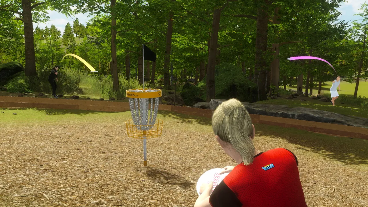 Disc Golf Masters — story scene