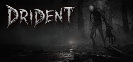Drident trainer — featured cover