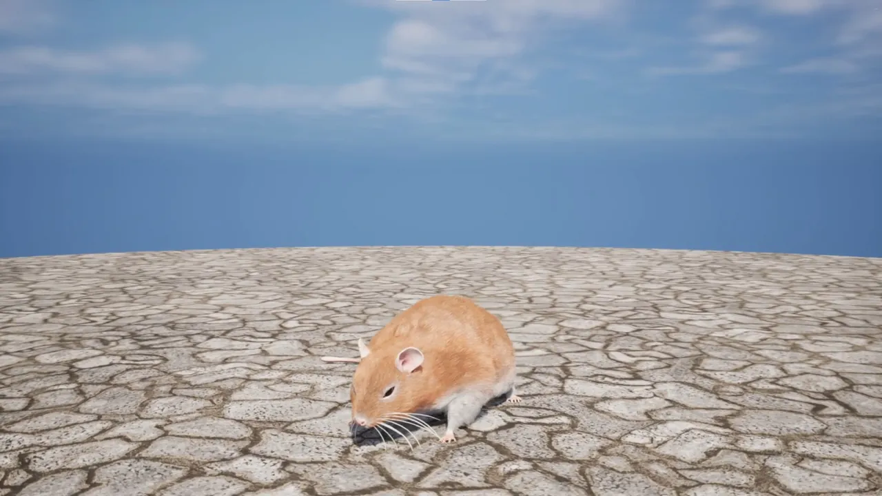 Labyrinth of Whiskers — in-game combat